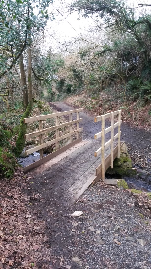 Bridge at Bearslake