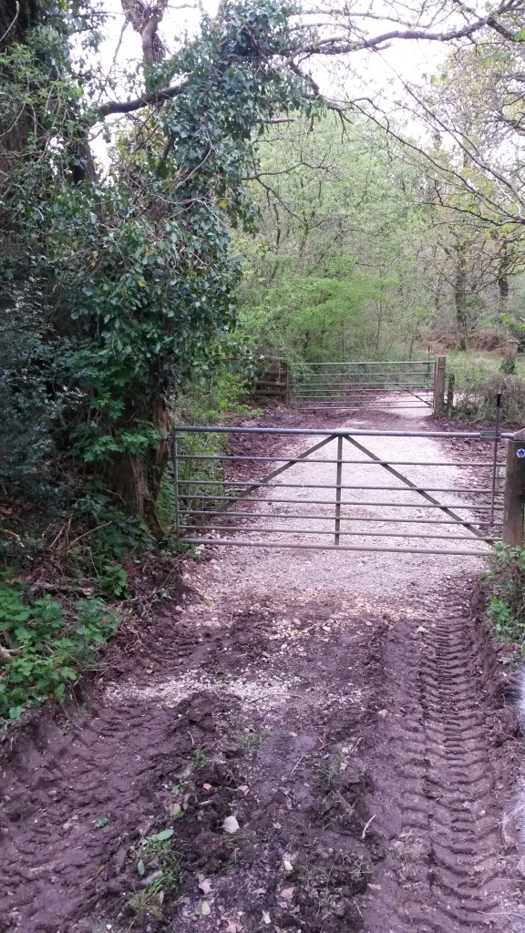 Fursdon Bridleway